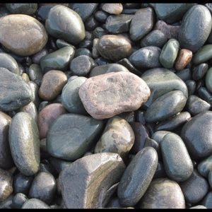 Meet your Posher, Sheila